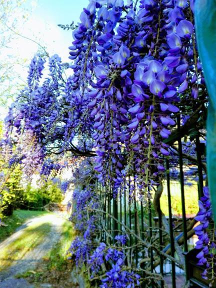 La Torretta Bed & Breakfast Torriglia 외부 사진